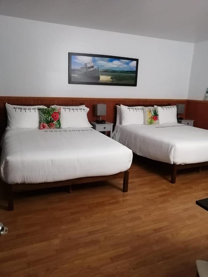 Hotel Fleurs Karaibes Saint-Alexandre-de-Kamouraska Екстер'єр фото